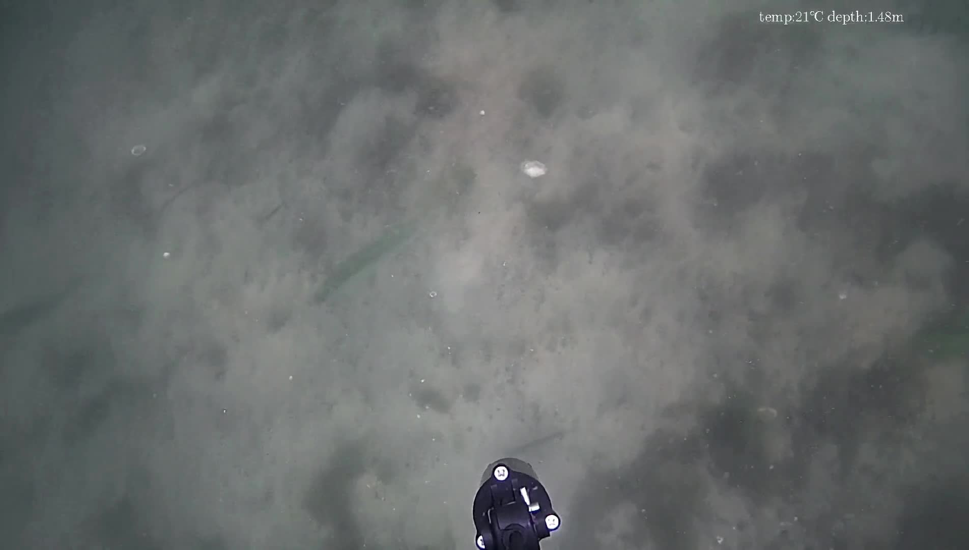 Nagrania dzieci z drona podwodnego😁🐟🐟🐟