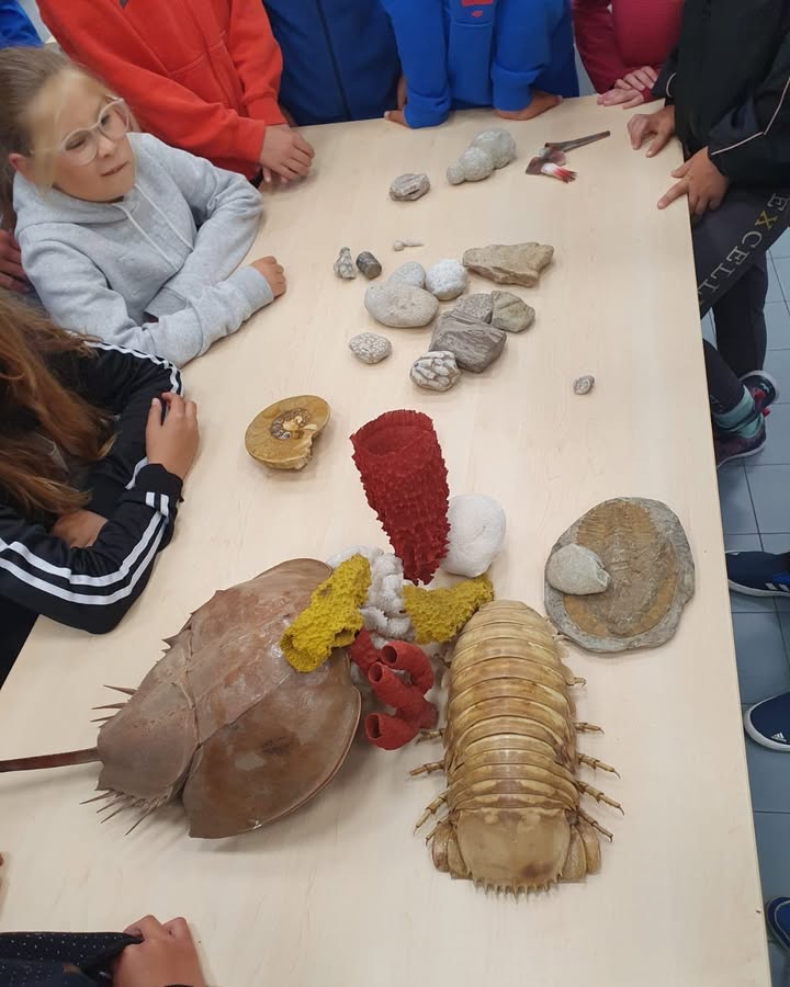 Wspomnienia z turnusów🤩